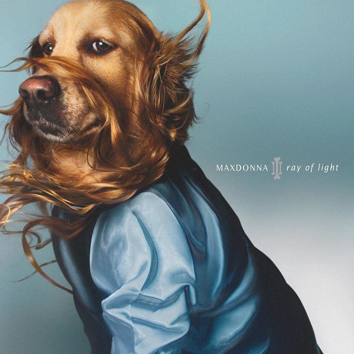 This Dog Recreated Madonna&rsquo;s Iconic Photos, And The Attention To Detail Is Unbelievable