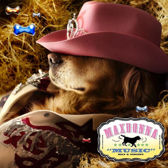 This Dog Recreated Madonna&rsquo;s Iconic Photos, And The Attention To Detail Is Unbelievable