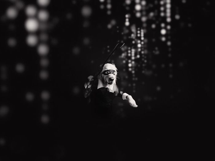 This Dog Recreated Madonna&rsquo;s Iconic Photos, And The Attention To Detail Is Unbelievable