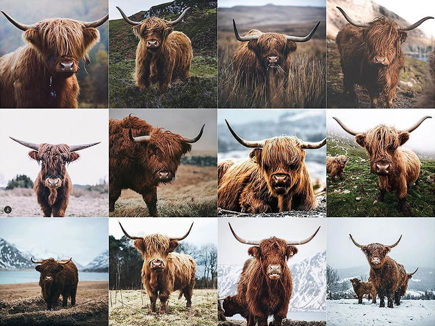 Somebody Is Showing How Instagram Photos Are All Starting To Look The Same And It’s Pretty Freaky Somebody Is Showing How Instagram Photos Are All Starting To Look The Same And It’s Pretty Freaky