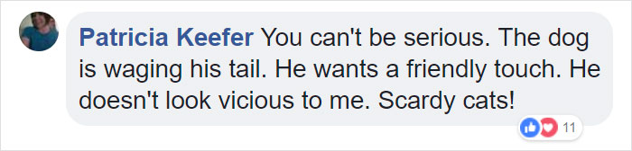 Terrified Workers Ran For Their Lives From An Approaching Pit Bull, But One Guy Knew Exactly What To Do