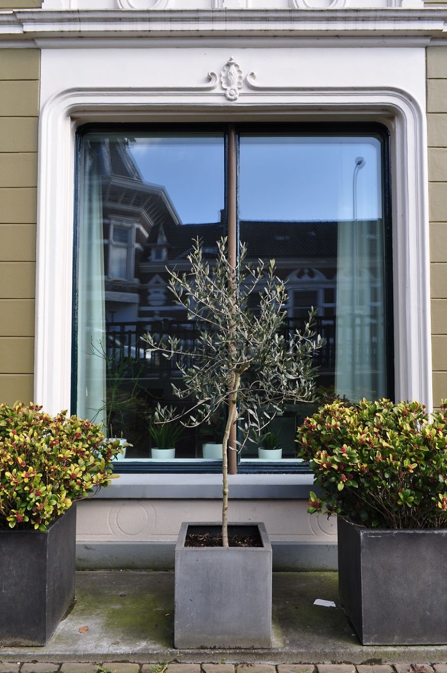 The Charm Of Dutch Windows And Doors The Charm Of Dutch Windows And Doors