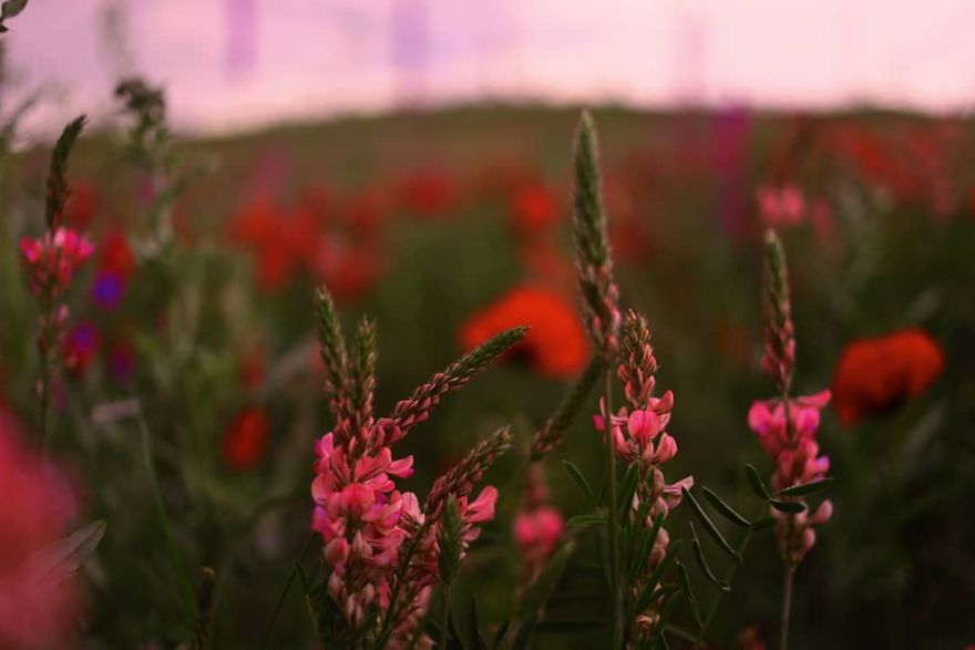 I Captured Mountain Colors