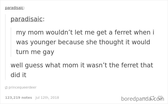 42 Of The Best Comebacks To Homophobic Comments Ever 42 Of The Best Comebacks To Homophobic Comments Ever