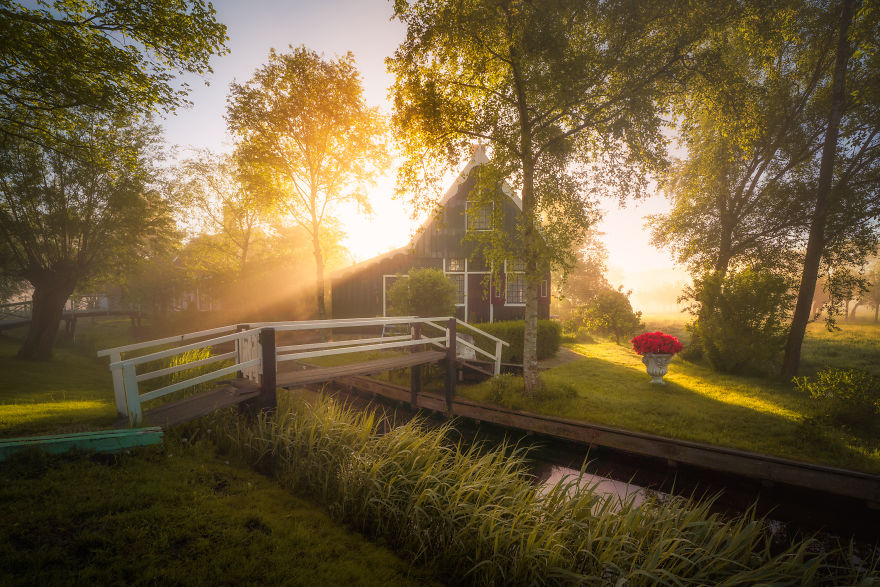 I Photographed Dutch Windmills In The Fog And The Results Are Magical