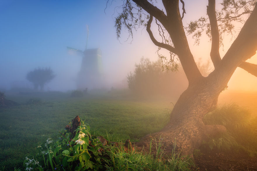 I Photographed Dutch Windmills In The Fog And The Results Are Magical