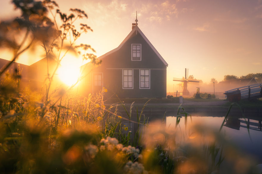 I Photographed Dutch Windmills In The Fog And The Results Are Magical