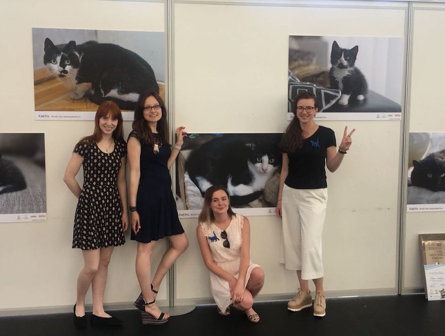 “Cat Care Community” – Who Are We? “Cat Care Community” – Who Are We?