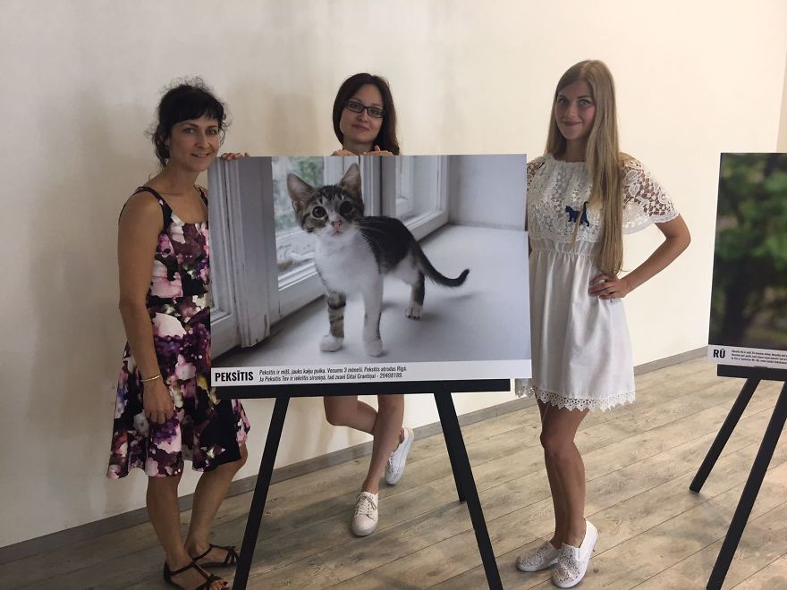 “Cat Care Community” – Who Are We? “Cat Care Community” – Who Are We?