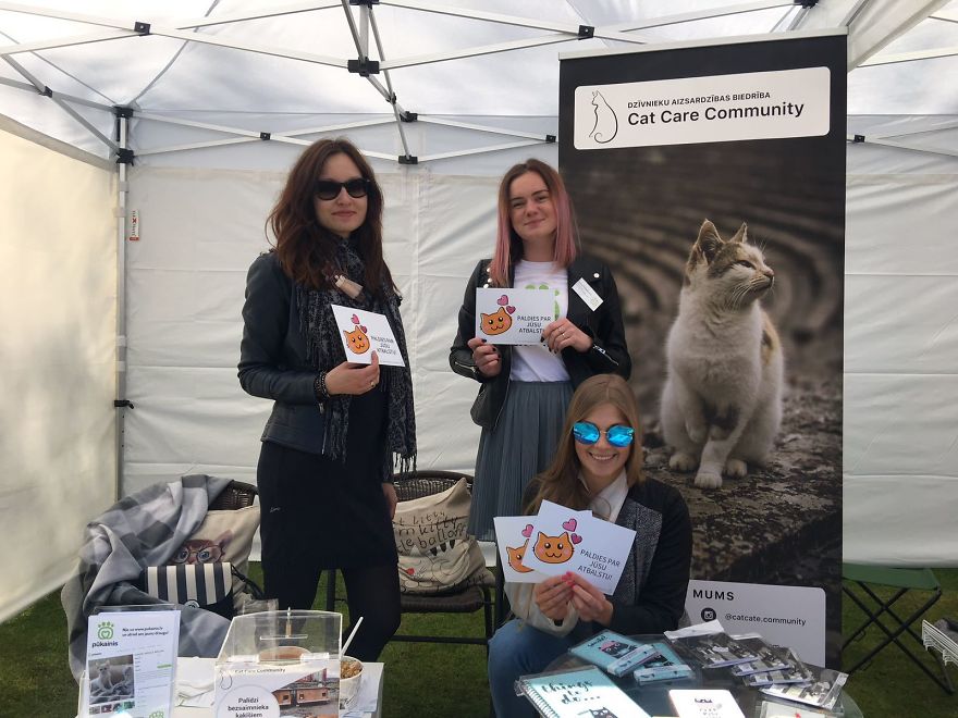 “Cat Care Community” – Who Are We? “Cat Care Community” – Who Are We?