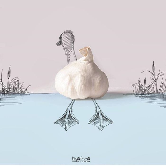 Artist Turns Ordinary Everyday Objects Into Clever Illustrations