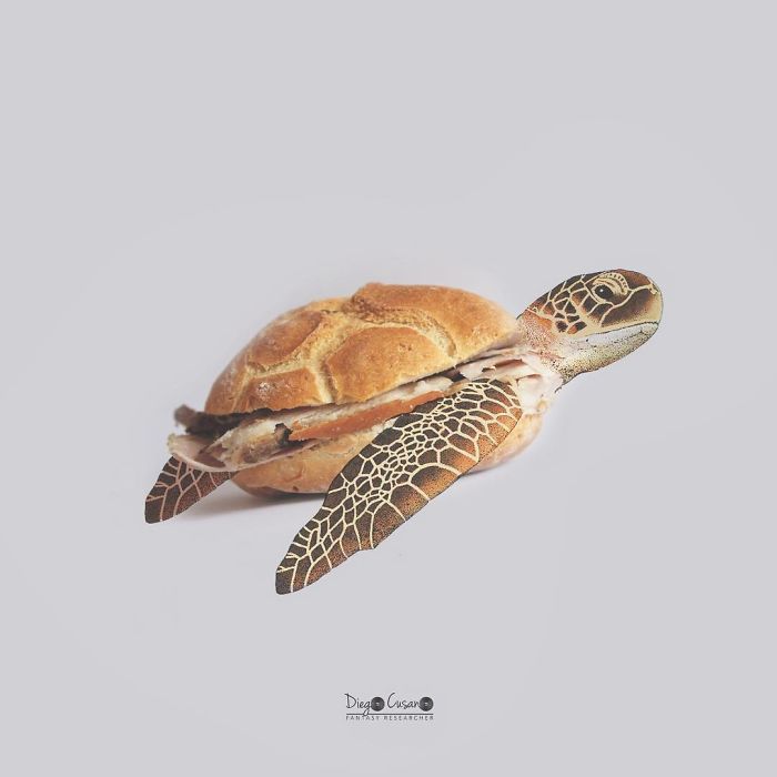 Artist Turns Ordinary Everyday Objects Into Clever Illustrations