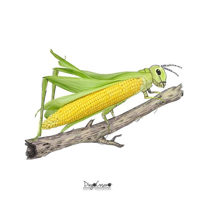 Artist Turns Ordinary Everyday Objects Into Clever Illustrations