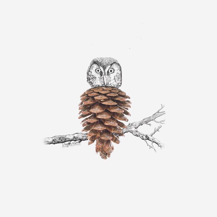 Artist Turns Ordinary Everyday Objects Into Clever Illustrations