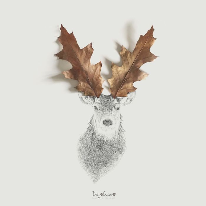 Artist Turns Ordinary Everyday Objects Into Clever Illustrations