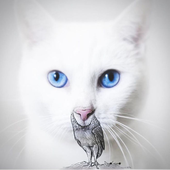 Artist Turns Ordinary Everyday Objects Into Clever Illustrations