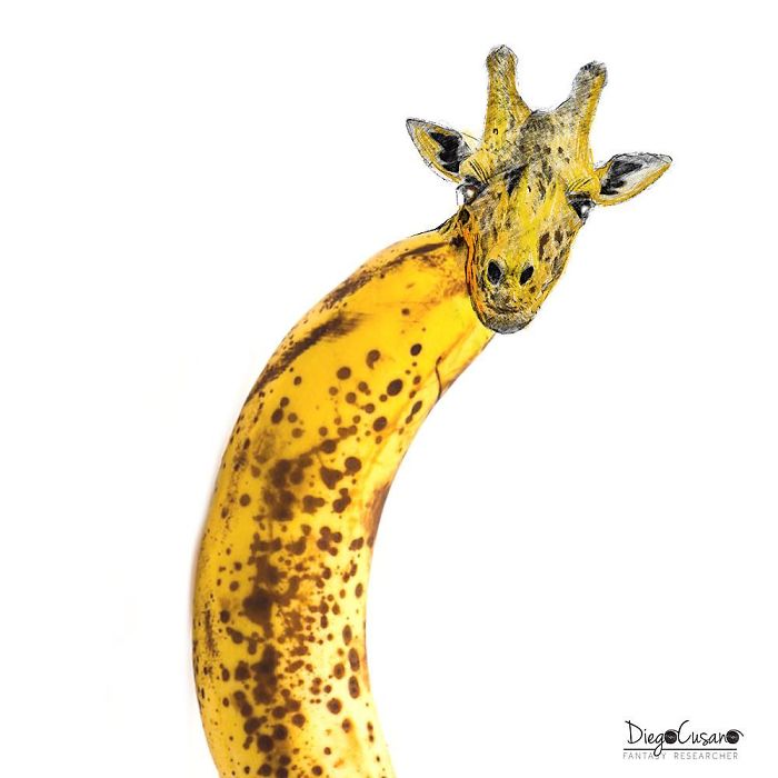 Artist Turns Ordinary Everyday Objects Into Clever Illustrations