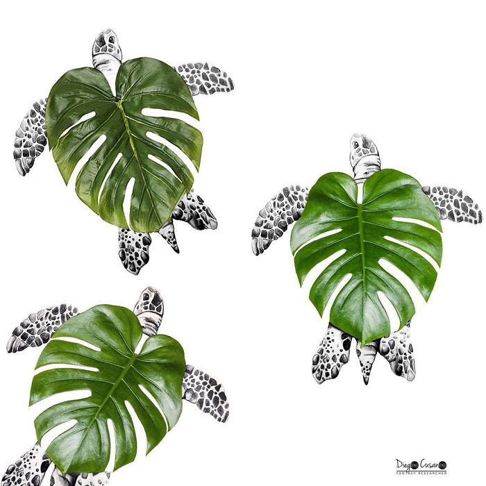 Artist Turns Ordinary Everyday Objects Into Clever Illustrations