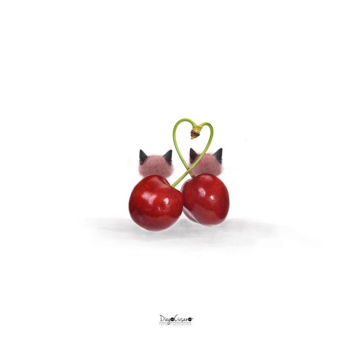 Artist Turns Ordinary Everyday Objects Into Clever Illustrations
