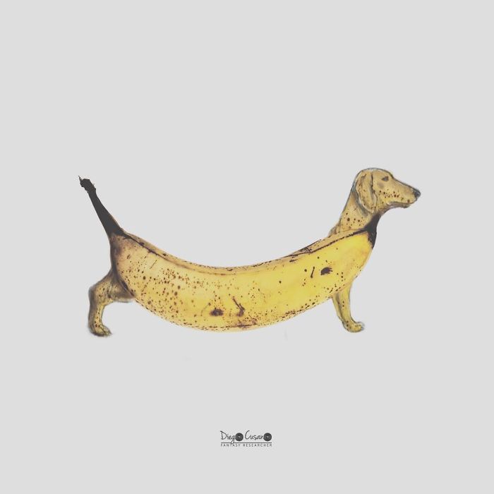 Artist Turns Ordinary Everyday Objects Into Clever Illustrations