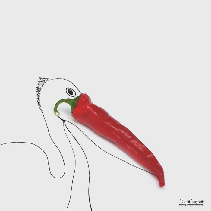 Artist Turns Ordinary Everyday Objects Into Clever Illustrations