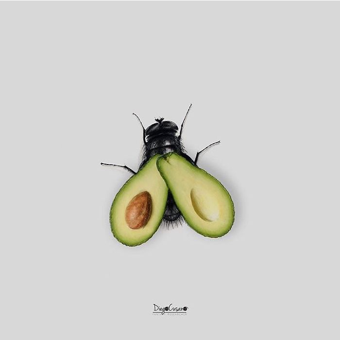 Artist Turns Ordinary Everyday Objects Into Clever Illustrations