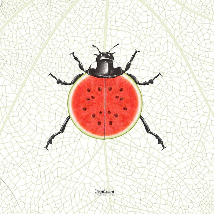 Artist Turns Ordinary Everyday Objects Into Clever Illustrations