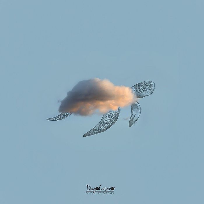 Artist Turns Ordinary Everyday Objects Into Clever Illustrations