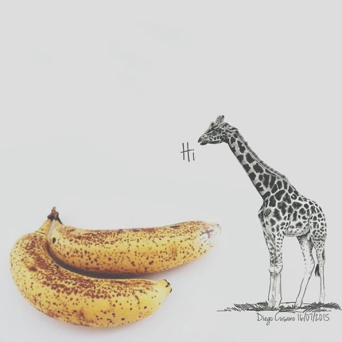 Artist Turns Ordinary Everyday Objects Into Clever Illustrations