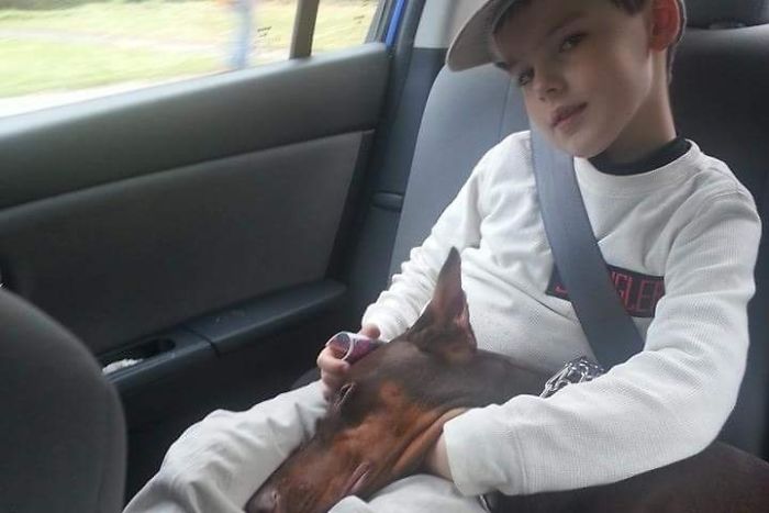 Boy Sells His Toys To Pay For His Service Dog’s Treatment Boy Sells His Toys To Pay For His Service Dog’s Treatment