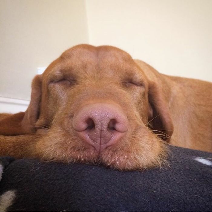 Frank And His ‘Mini Me’s’ Frank And His ‘Mini Me’s’