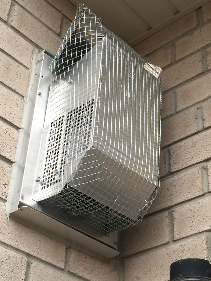 Guy Tries To Fight Against Birds For 4 Years, And It Gets Funnier With Every Pic