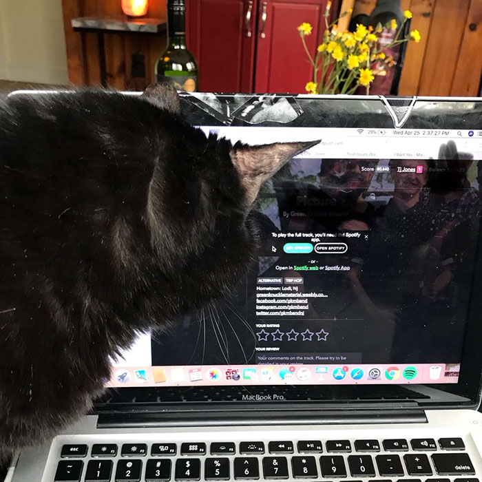 Passengers Won&#8217;t Stop Complimenting This Uber Driver&#8217;s Music, So He Reveals How He Sorted People Into 11 Categories