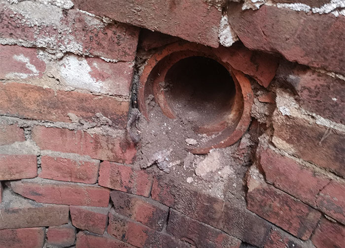 Guy Asks The Internet To Help Identify A Hole That Appeared In His Garden, Probably Wishes He Didn’t Guy Asks The Internet To Help Identify A Hole That Appeared In His Garden, Probably Wishes He Didn’t