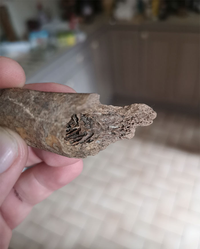 Guy Asks The Internet To Help Identify A Hole That Appeared In His Garden, Probably Wishes He Didn’t Guy Asks The Internet To Help Identify A Hole That Appeared In His Garden, Probably Wishes He Didn’t