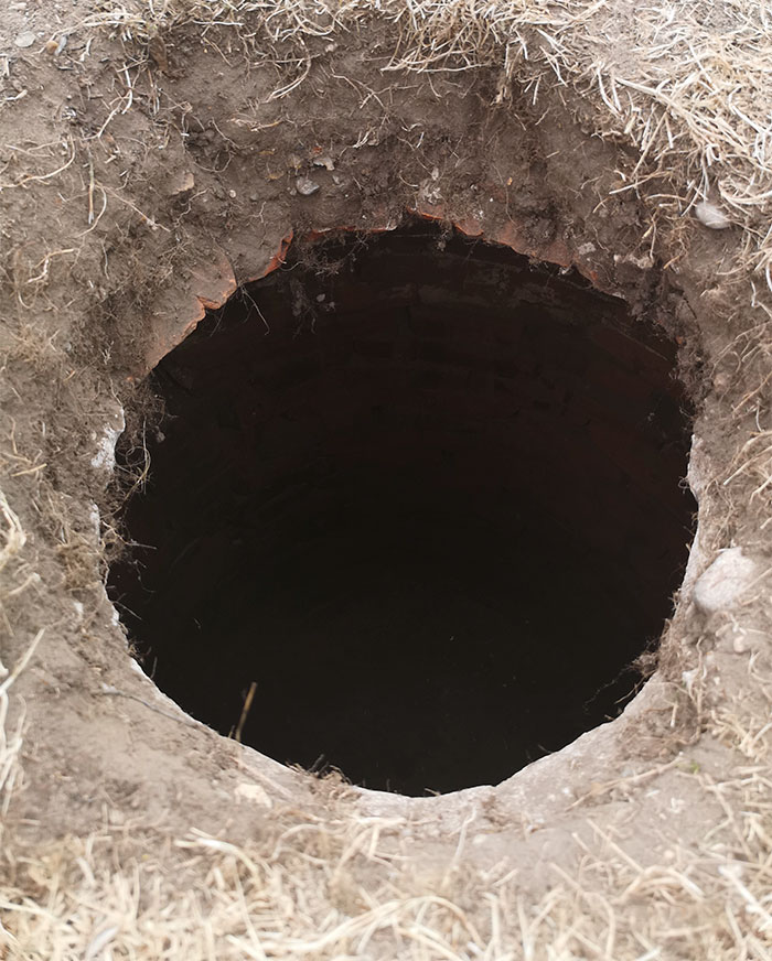 Guy Asks The Internet To Help Identify A Hole That Appeared In His Garden, Probably Wishes He Didn’t Guy Asks The Internet To Help Identify A Hole That Appeared In His Garden, Probably Wishes He Didn’t