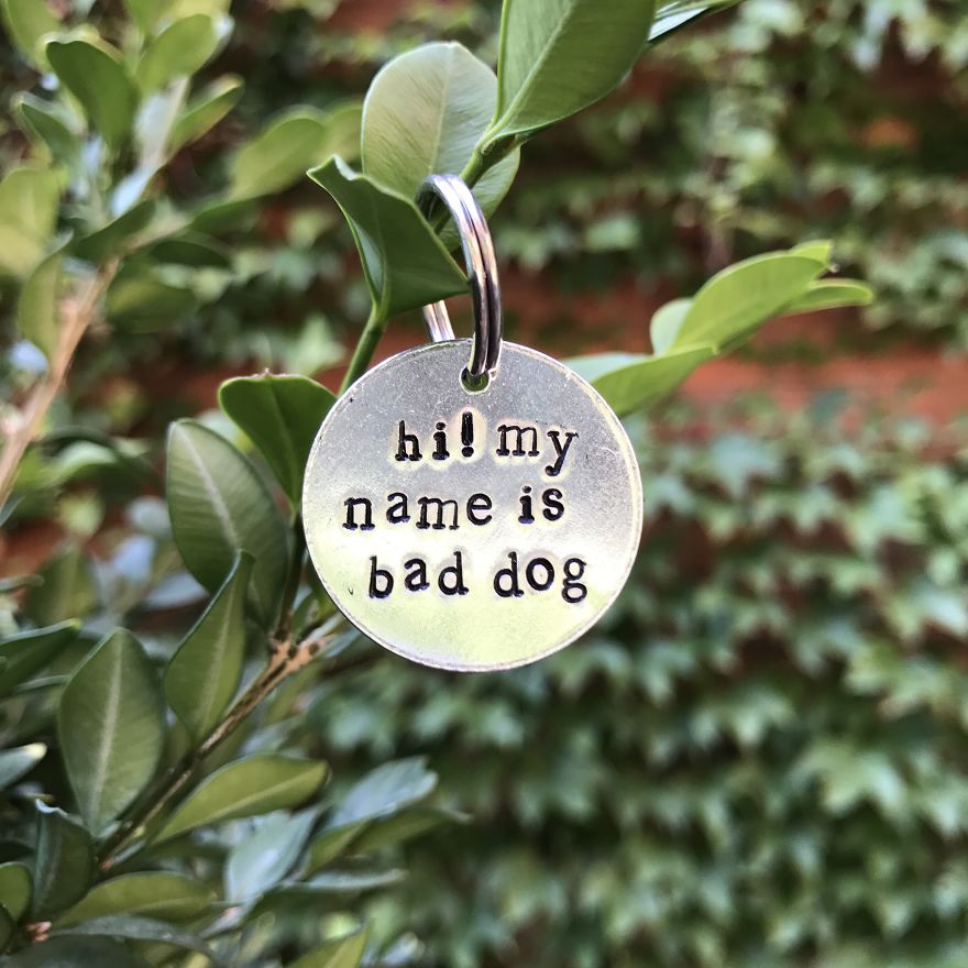 You Need These Salty, Sweet And Spicy Pet Id Tags