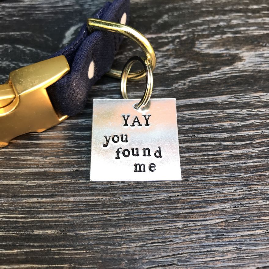 You Need These Salty, Sweet And Spicy Pet Id Tags