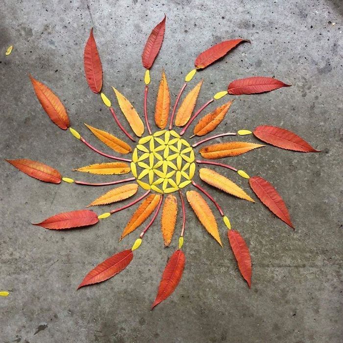 I Create Mandalas From Things I Find In Nature As A Way To Meditate
