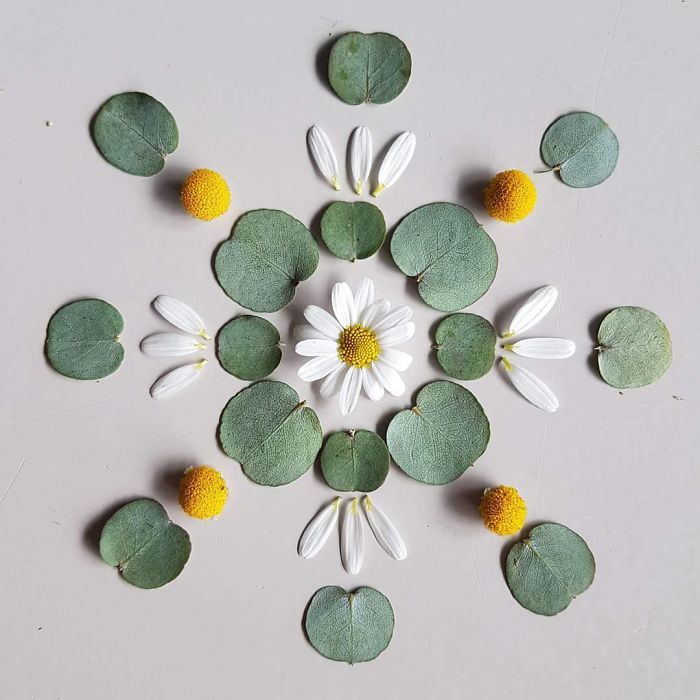 I Create Mandalas From Things I Find In Nature As A Way To Meditate