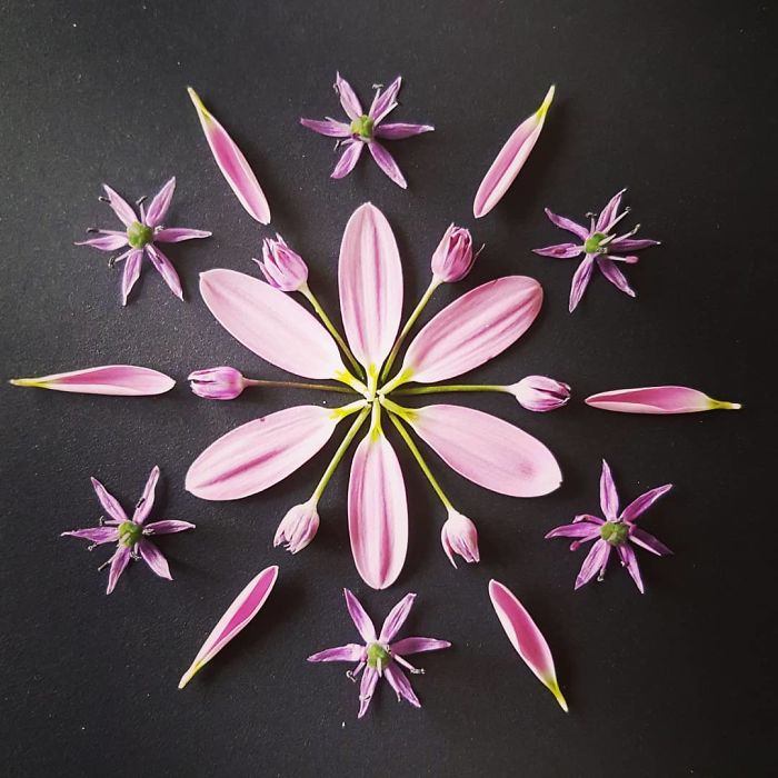 I Create Mandalas From Things I Find In Nature As A Way To Meditate