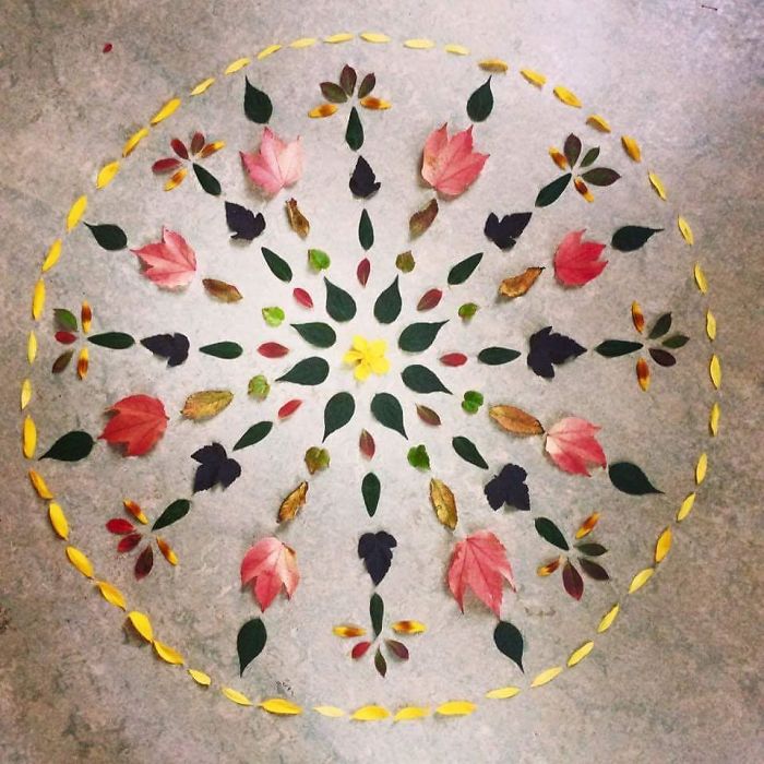 I Create Mandalas From Things I Find In Nature As A Way To Meditate