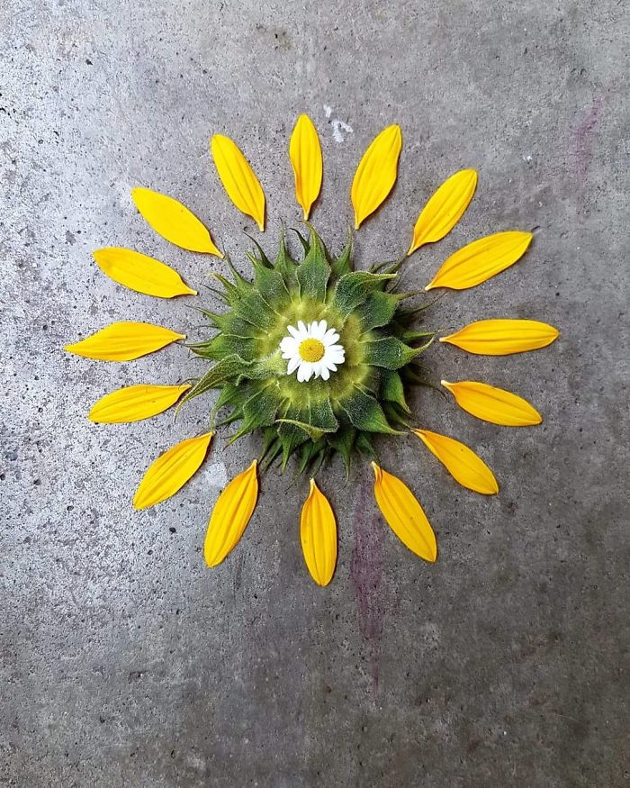 I Create Mandalas From Things I Find In Nature As A Way To Meditate