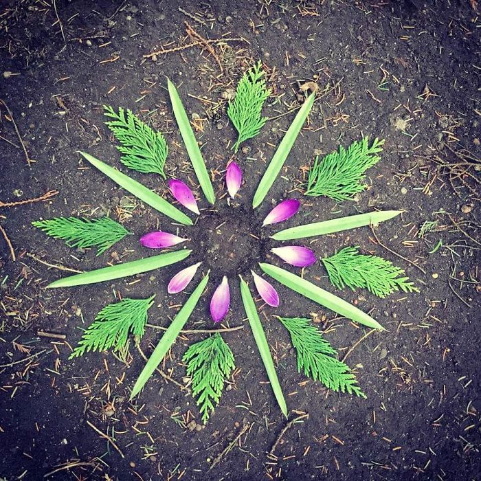 I Create Mandalas From Things I Find In Nature As A Way To Meditate