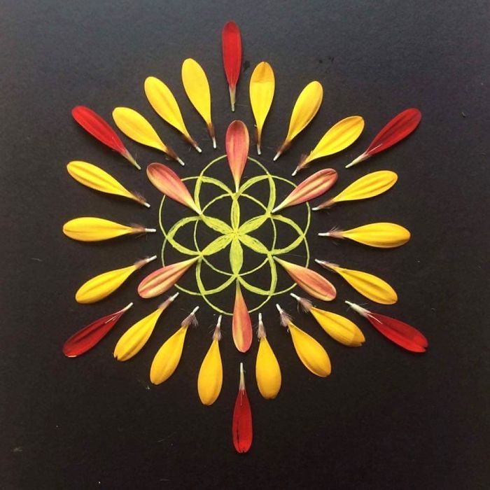 I Create Mandalas From Things I Find In Nature As A Way To Meditate
