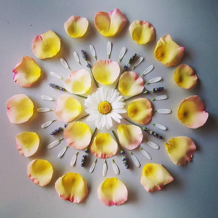 I Create Mandalas From Things I Find In Nature As A Way To Meditate