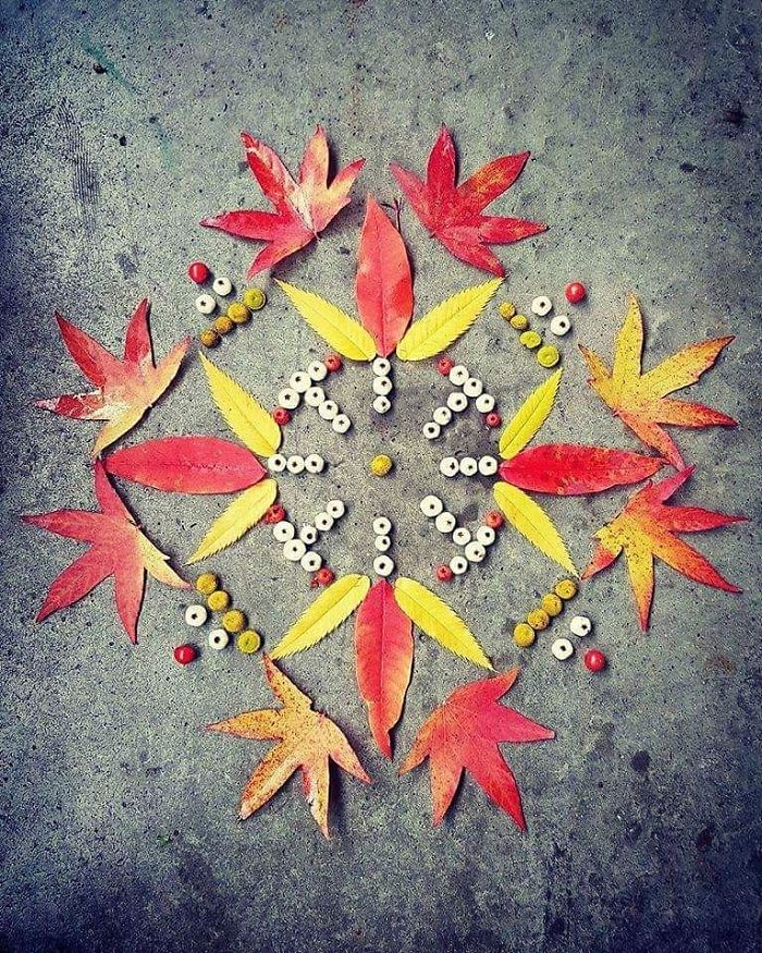 I Create Mandalas From Things I Find In Nature As A Way To Meditate