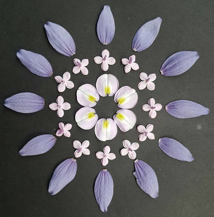 I Create Mandalas From Things I Find In Nature As A Way To Meditate
