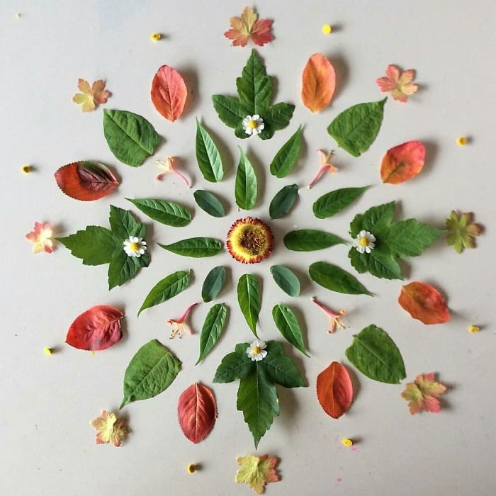 I Create Mandalas From Things I Find In Nature As A Way To Meditate