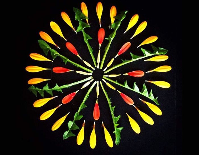 I Create Mandalas From Things I Find In Nature As A Way To Meditate